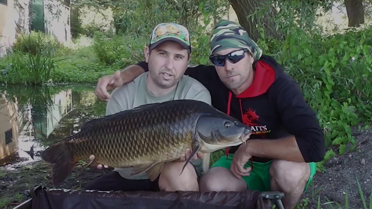 CARPFISHING al Lago Vulcanico - 2019 HD[1080p]