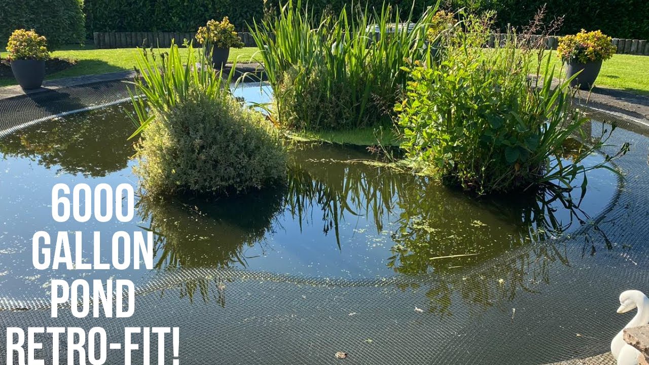 6000 GALLON POND - OVERHAULLED!