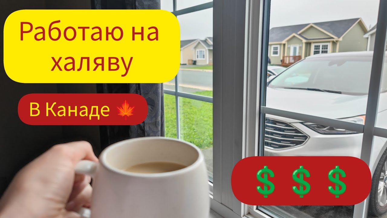 Зарабатываю 20 и 30 💲 в час⏳. В декрете. КАНАДА 🍁 Сент-Джонс#беженцы#работают#