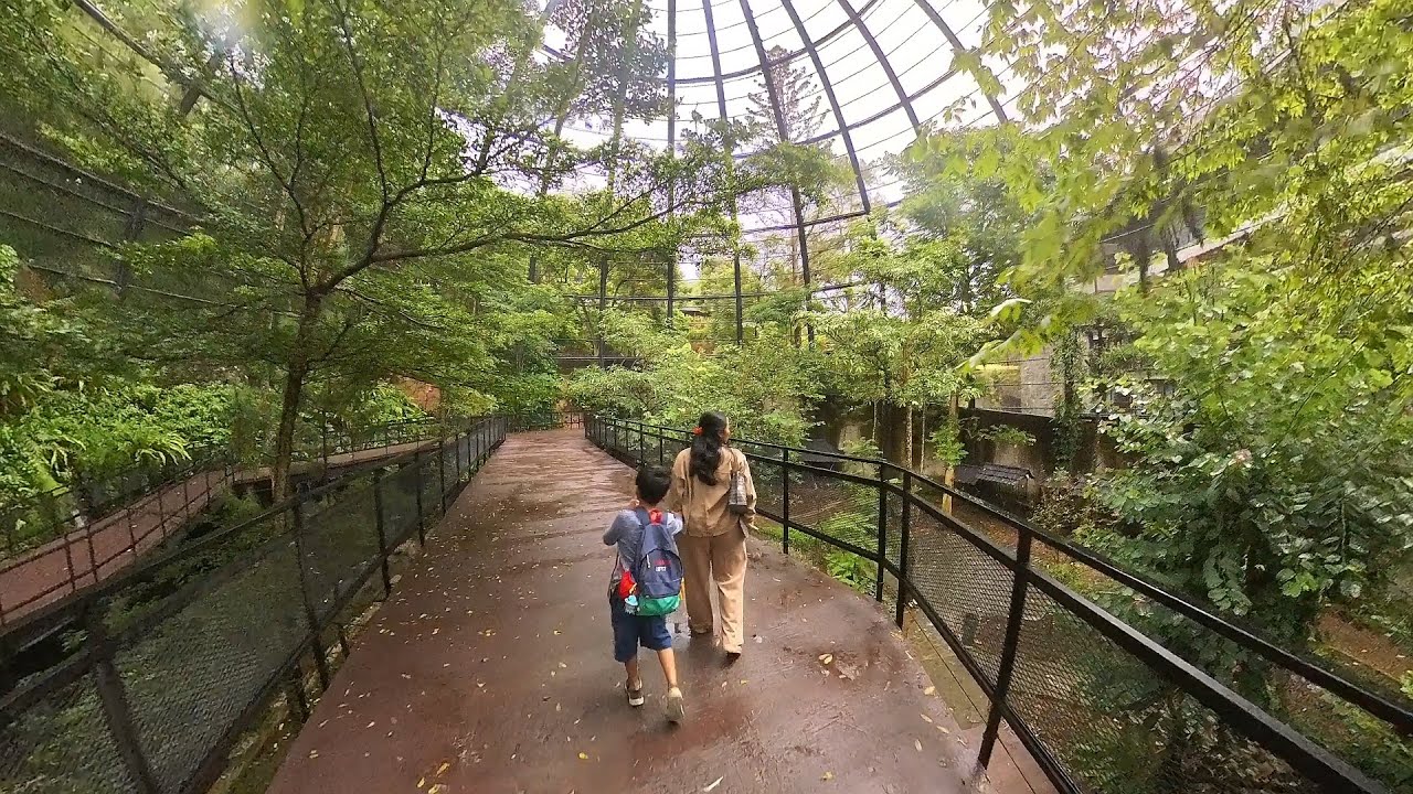 Aviary Hotel Santika premiere Hills resort Cibadak #insta360 