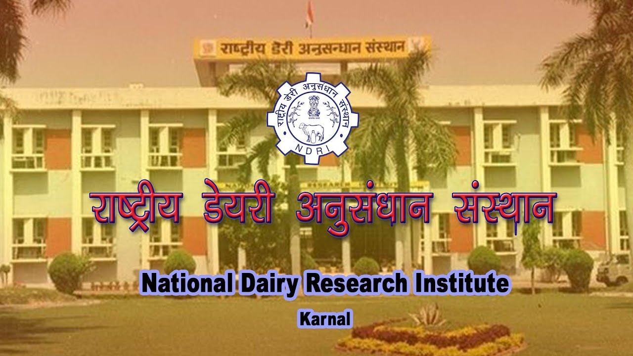 National Dairy Research Institute-NDRI | राष्ट्रीय डेयरी अनुसंधान संस्थान | Dairy Management