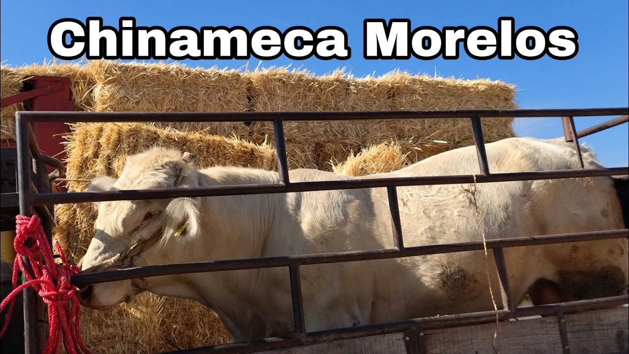 CHINAMECA MORELOS