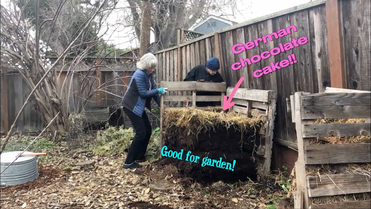 Switching out the bin for the sawdust bucket toilet