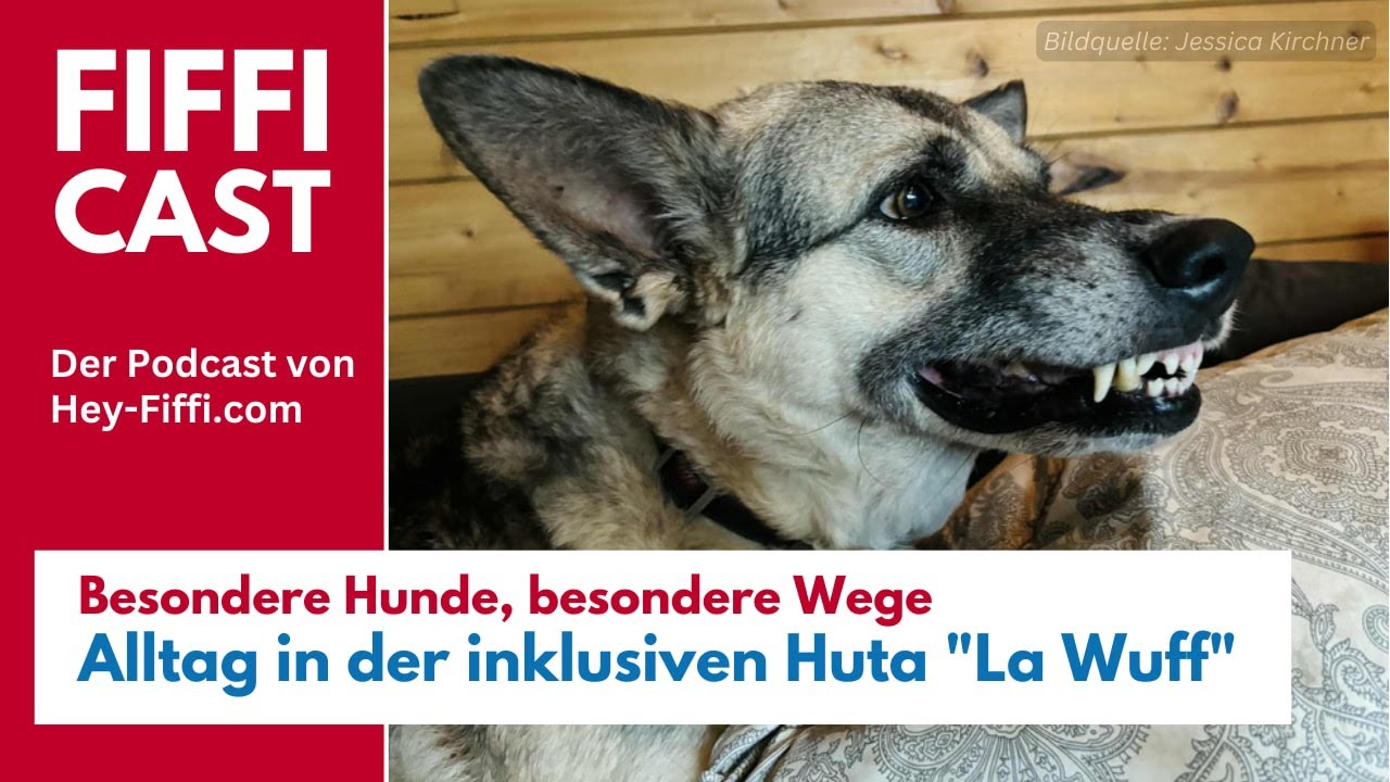 Besondere Hunde, besondere Wege: Alltag in der inklusiven Huta 