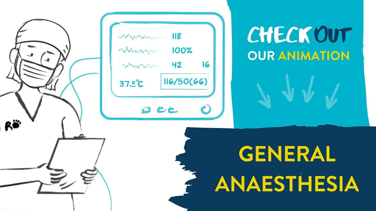 General Anaesthesia for Dogs and Cats