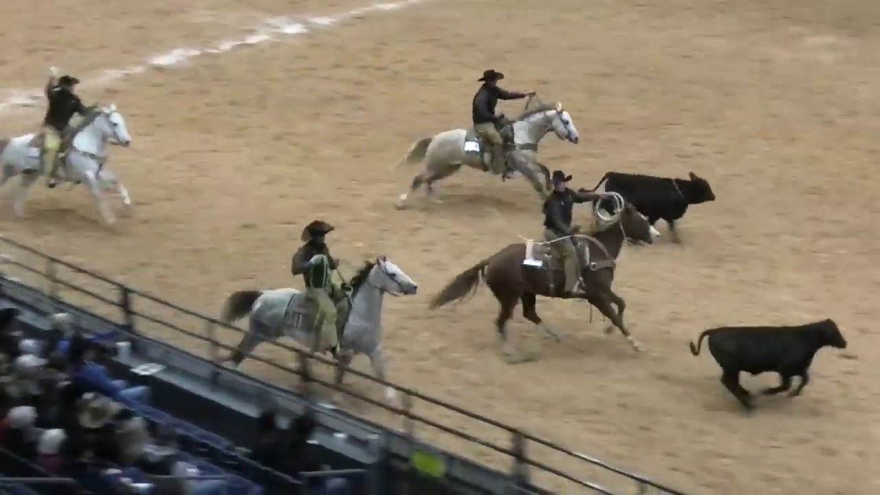 Stray Gathering - 2019 WRCA World Championship Ranch Rodeo (Thursday)