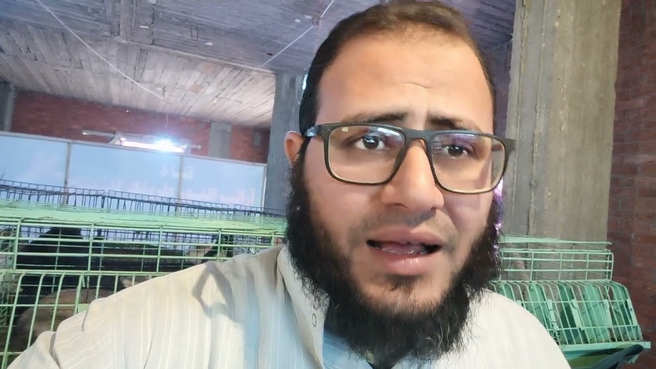علاج السلسلة والإمتناع عن الأكل مهم جدا