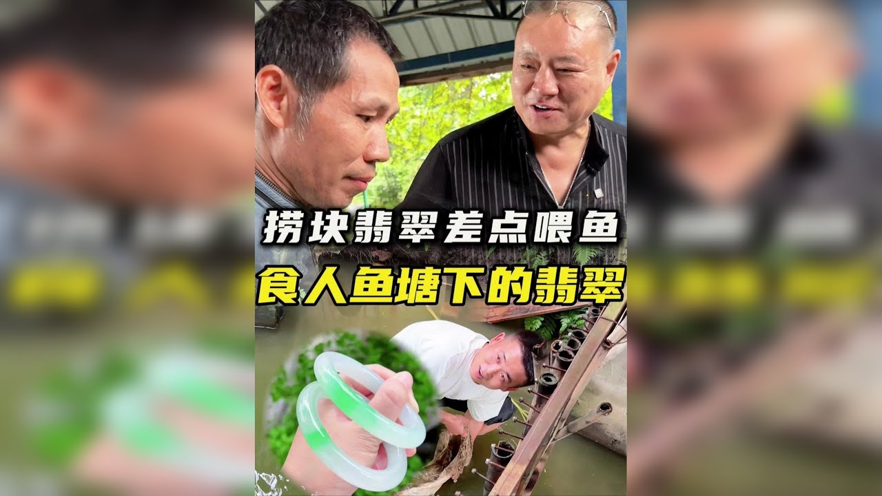 捞块翡翠差点喂鱼，食人鱼塘下的翡翠