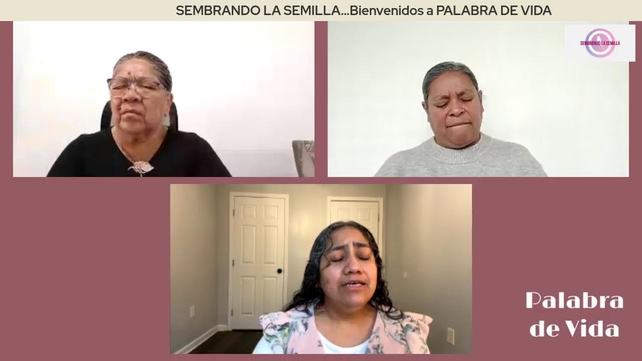 Palabra de Vida