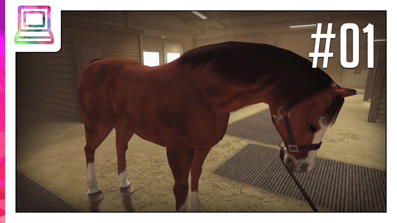 Riding Club Championships (part 1) (Horse Game)