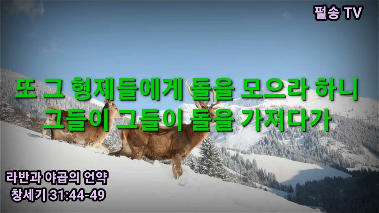 펄송 (창세기 31장 라반과 야곱의 언약 / 나뉘어라 /십자가에서 분리 ) 변미심 목사 찬양드림