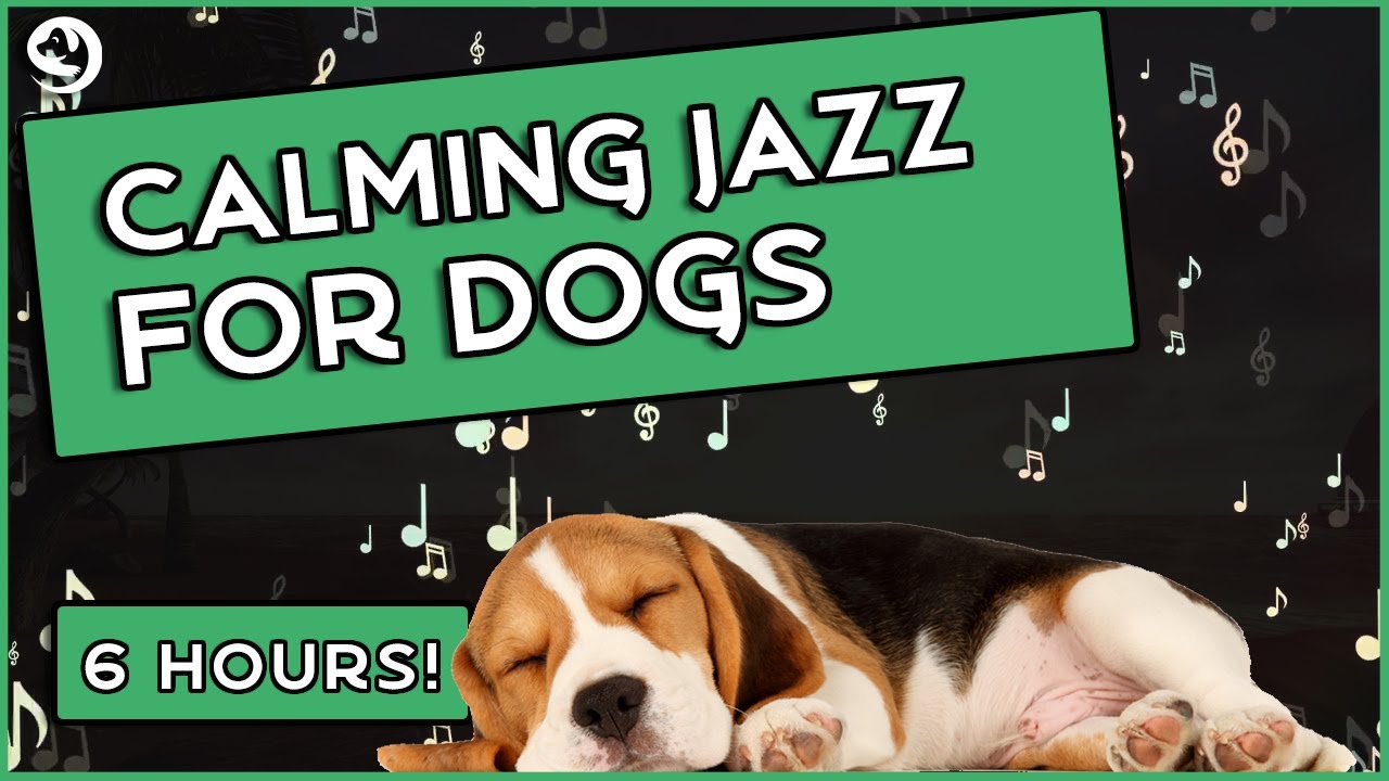 Calming Jazz Music For Dogs - Relaxing Dog Music To Stop Anxiety