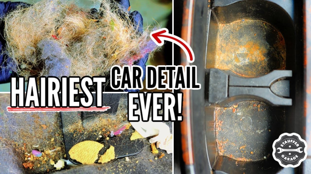 The Nastiest Toyota Land Cruiser! Complete Disaster Car Detailing Transformation || Stauffer Garage