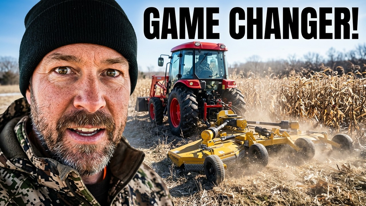 I won't make this food plotting mistake again! Winter bush hogging corn plots!