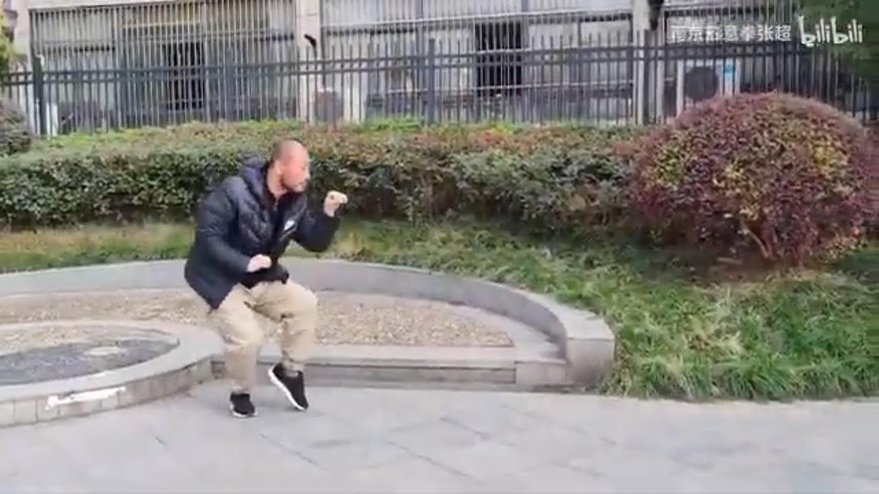 Xing Yi 形意拳 - 12 Animals 十二形 1-6