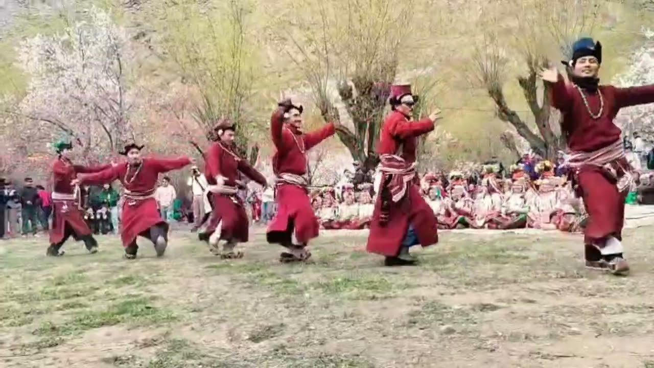 Skurbuchan Dance on apricot blossom festival song  #Skurbuchan #Dance #ladakh 