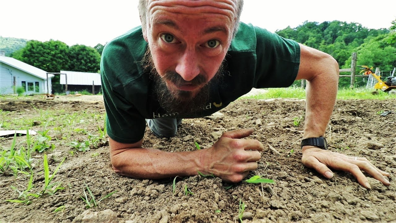 COMPOST - You CAN'T Do It WRONG - Here's Why