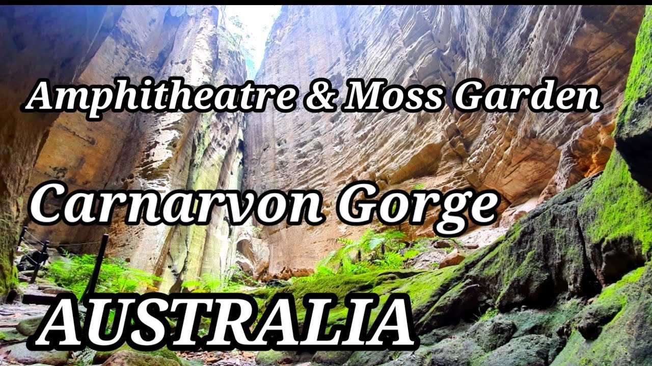 What to see in Carnarvon Gorge, Amphitheatre/Moss Garden, Adventure with Bernie, Australia