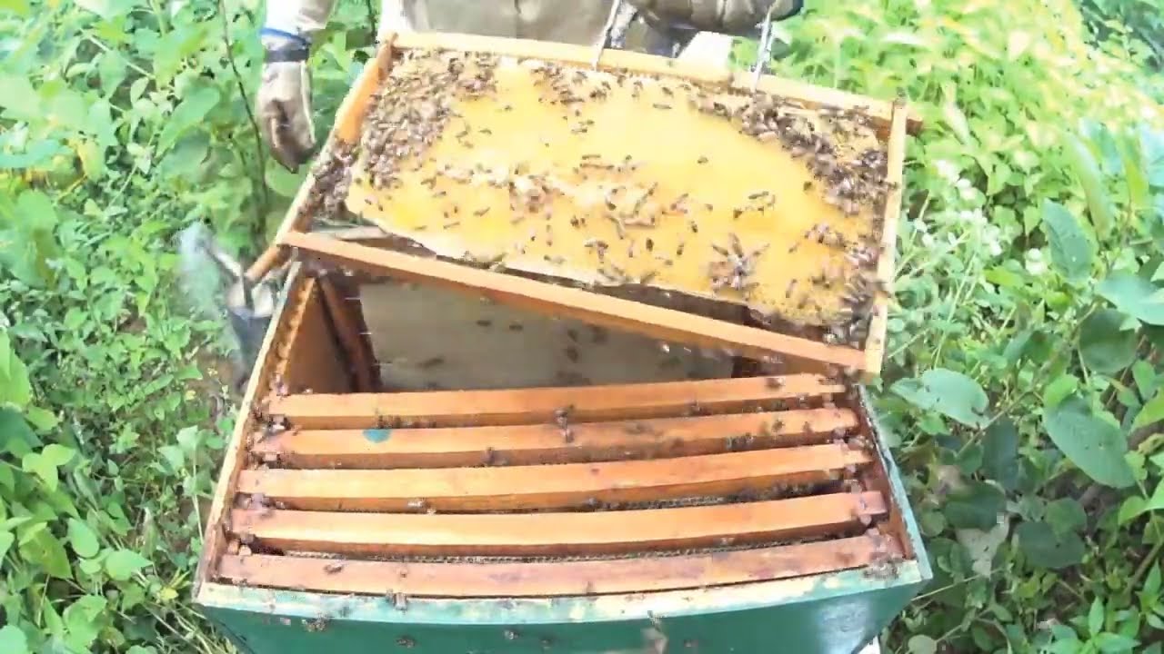 O SUCESSO DE DE UMA BOA DIVISÃO ESTÃO NESSES DETALHES