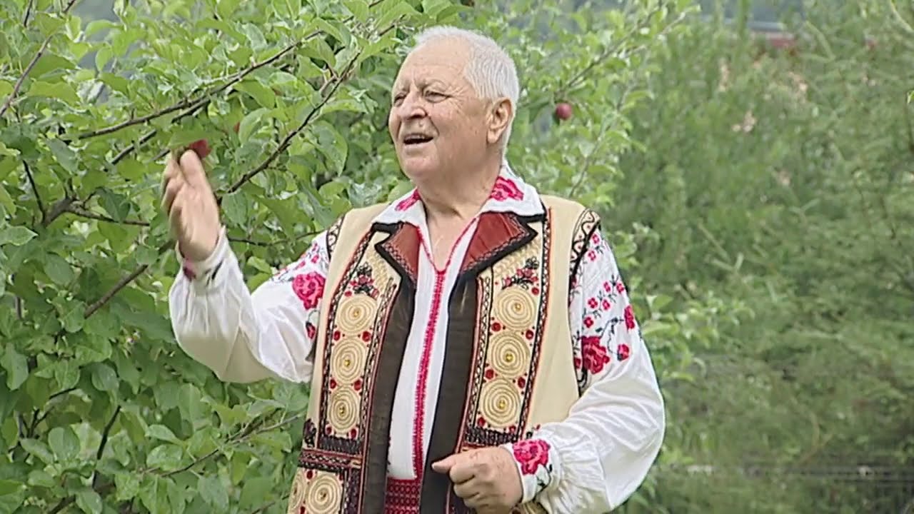 Nicolaie Oprisan  Mi e dor de casa la tara