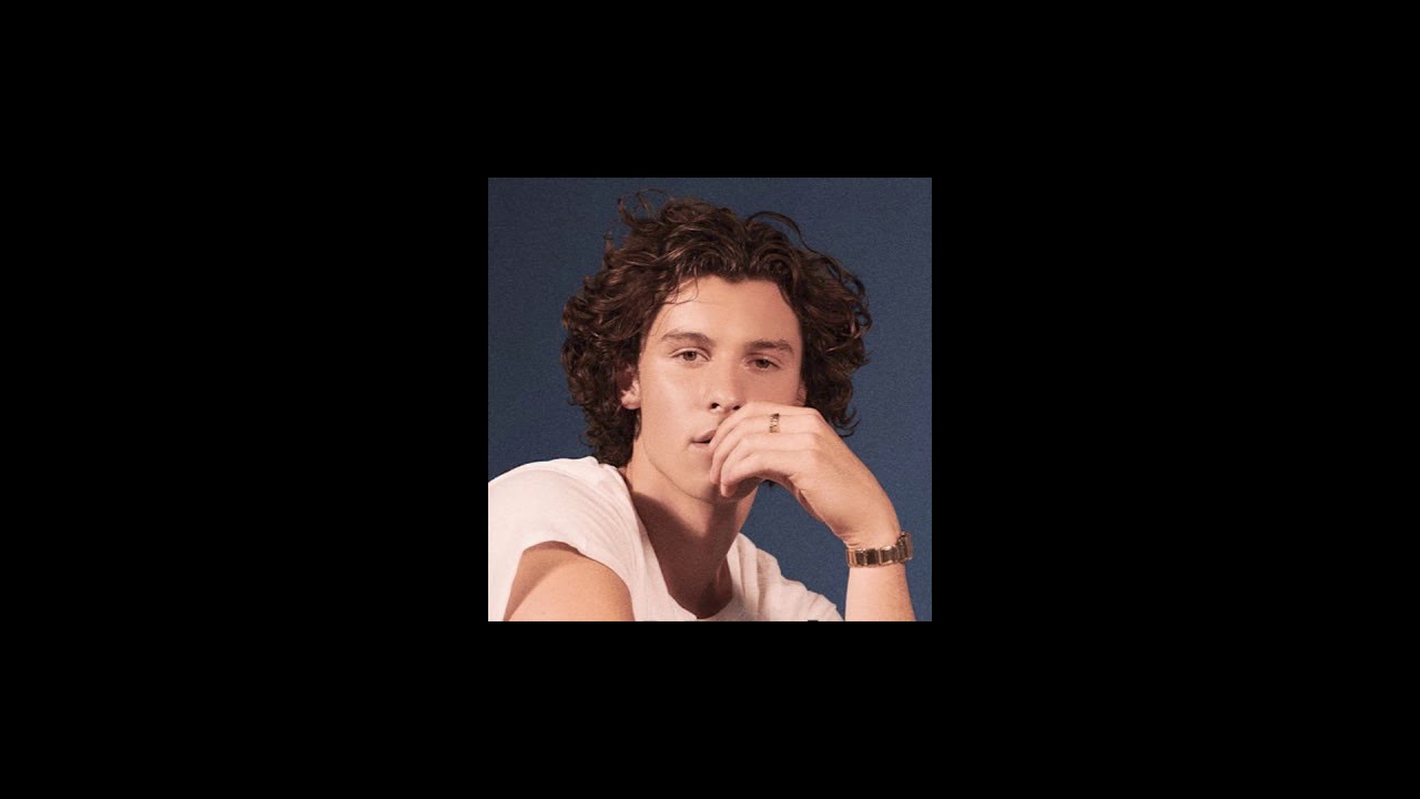 Shawn Mendes - Wonder ( S L O W E D + R E V E R B )
