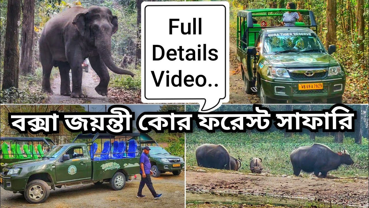 Buxa Jayanti Core Forest Safari • Buxa Jayanti Jungle Safari • Buxa Tiger Reserve Core Forest Safari