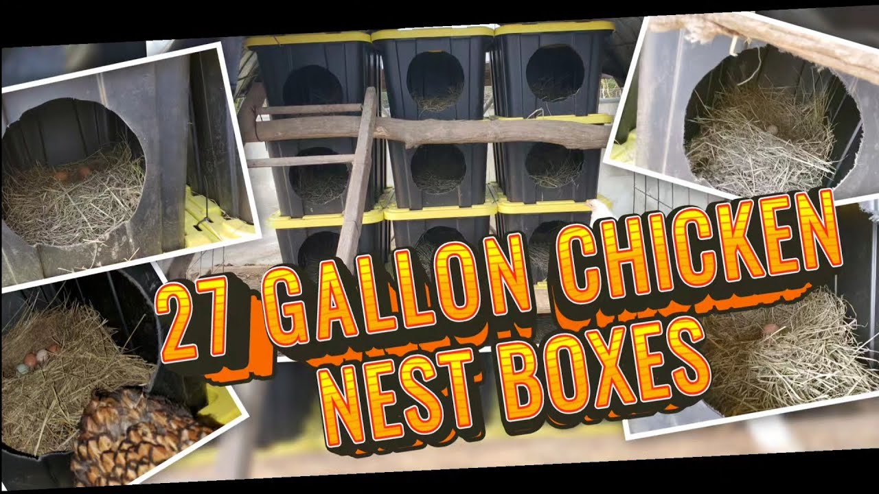 Transform a 27 Gallon Tote into the Ultimate Cheap & Clean Mess Free Chicken Nesting Box!