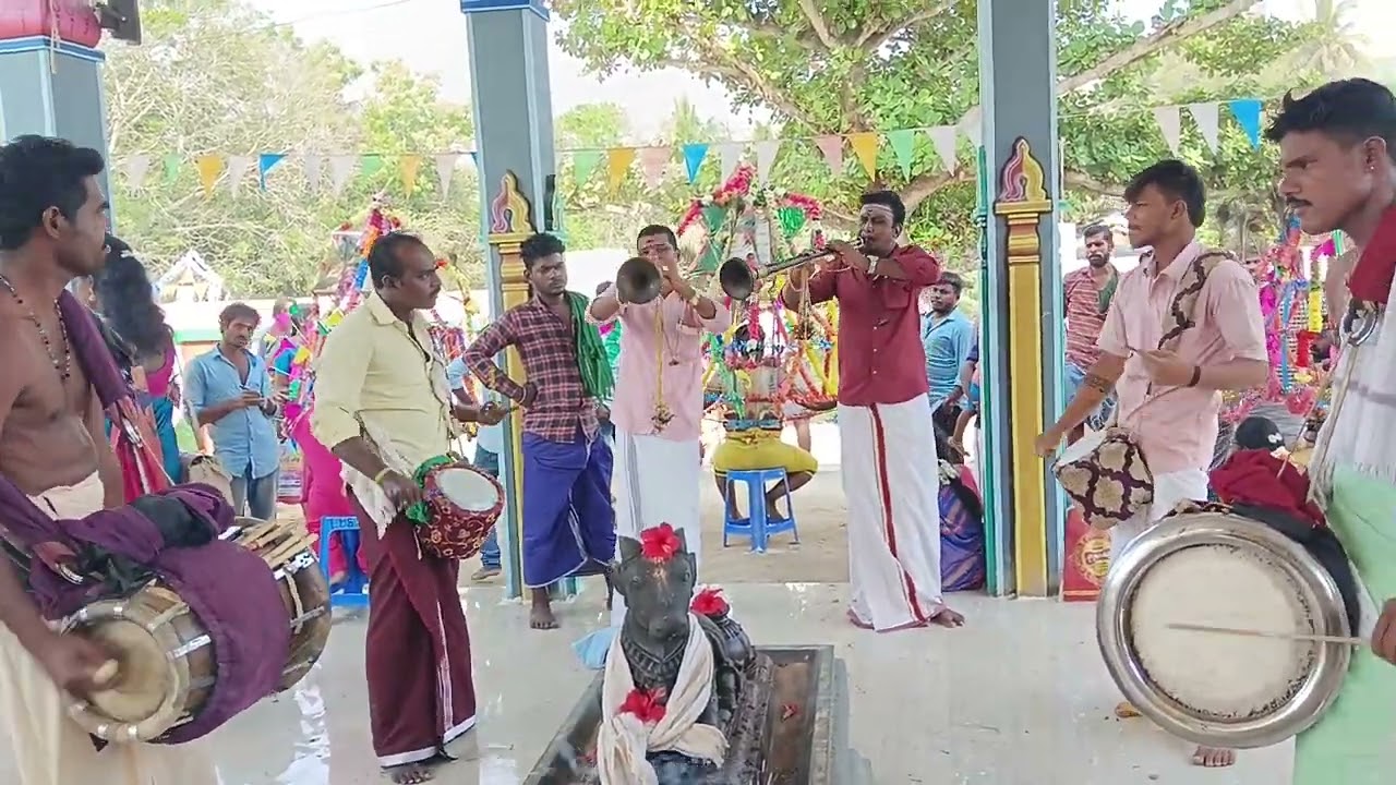 14/04/2023 தமிழ் வருட பிறப்பு கச்சனம் ஆப்பரக்குடி நையாண்டி மேளம் 9943517824 9003823166