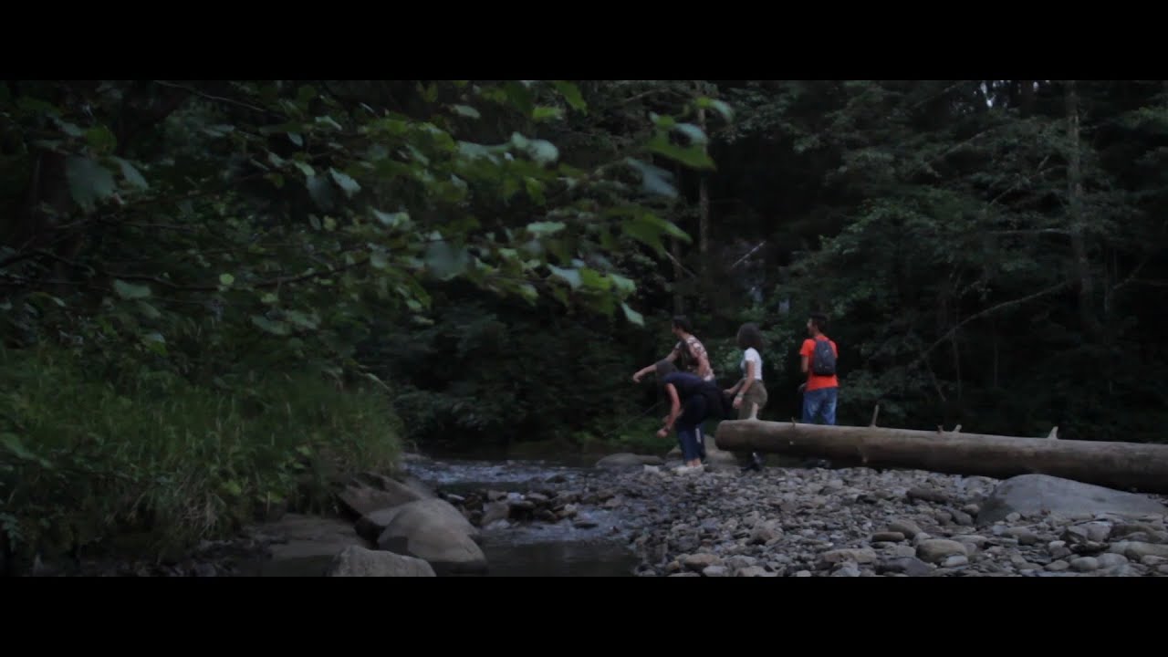 #trailer - No Signal - natura vs. wi-fi
