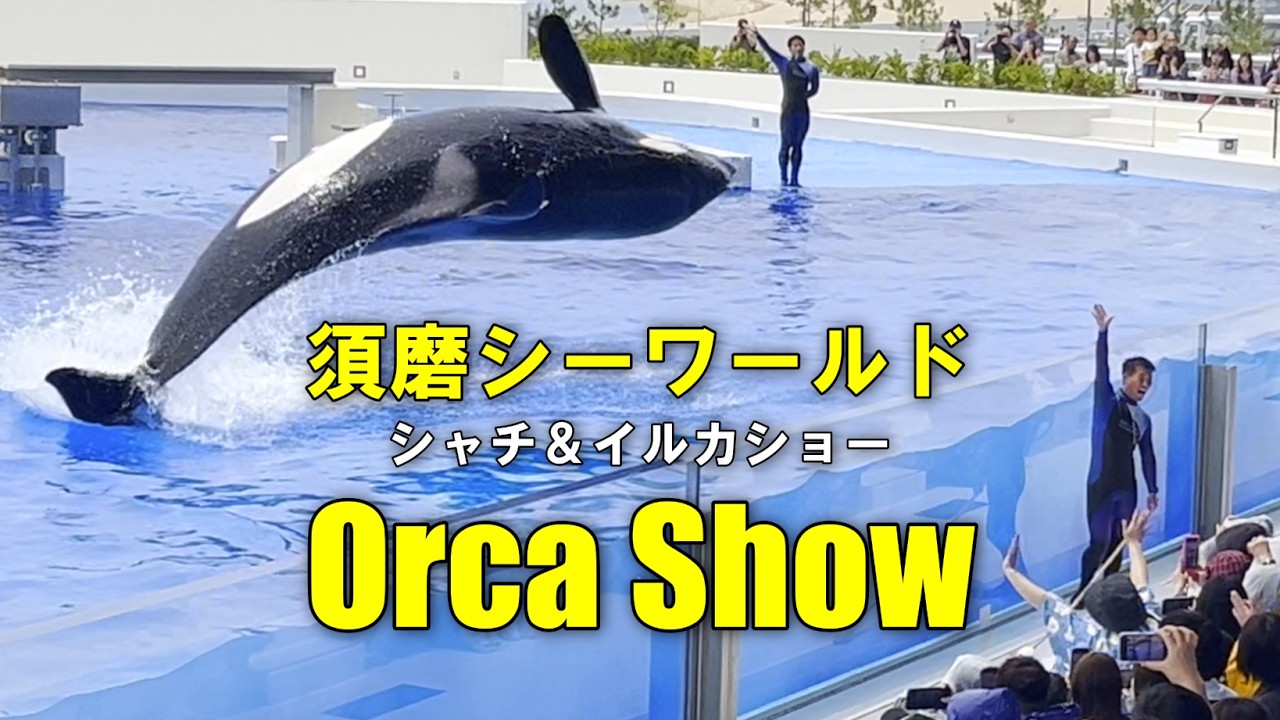 【神戸須磨シーワールド】1日Vlog 迫力満点シャチとイルカショー🐬/須磨水族館/オルカショ―/神戸観光/旅行　Kobe Suma Sea World