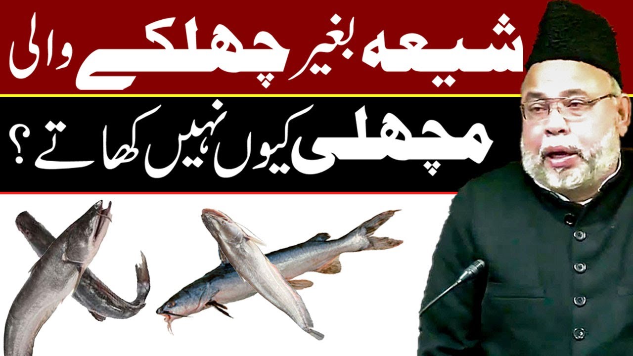 Shia does not eat fish without a cheek | Maulana Sadiq Hasan