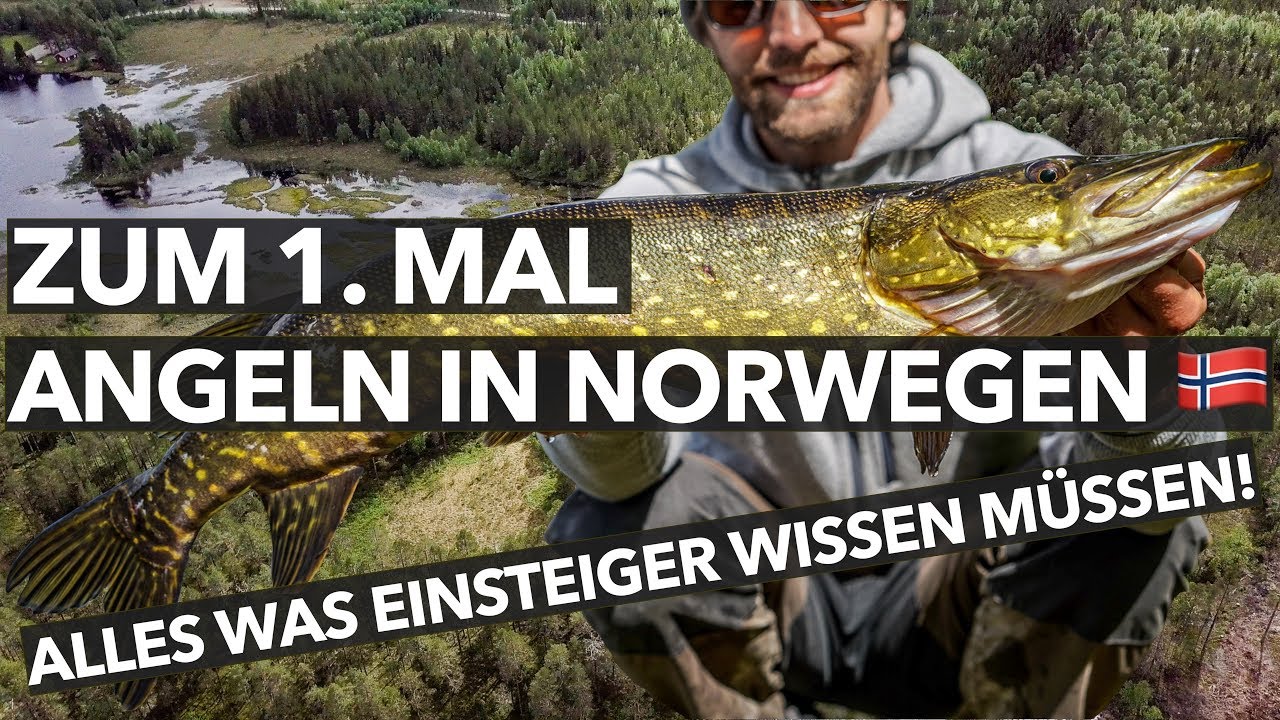 Norwegen Angeln für Einsteiger - so gehts!  Hecht, Barsch und co
