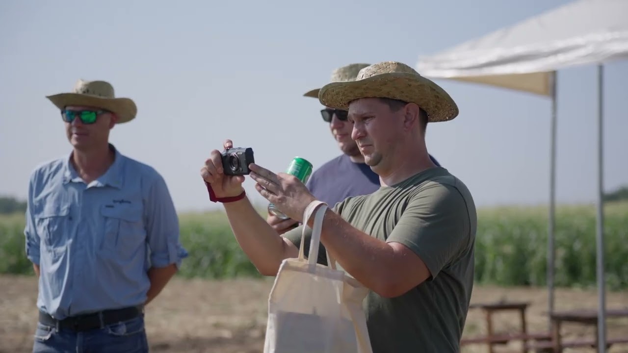 Syngenta csemegekukorica fajtabemutató magyar nap 2025. augusztus