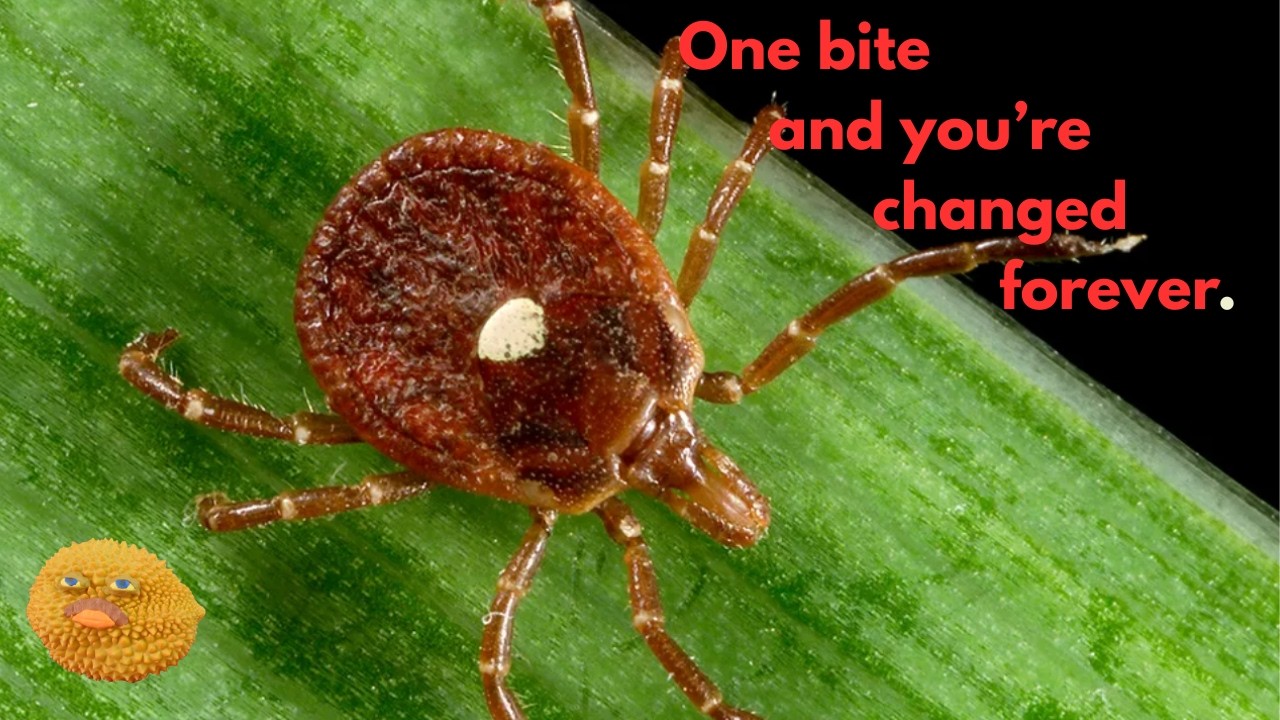There's A Conspiracy Theory About These Ticks. The Truth Is Way Weirder.