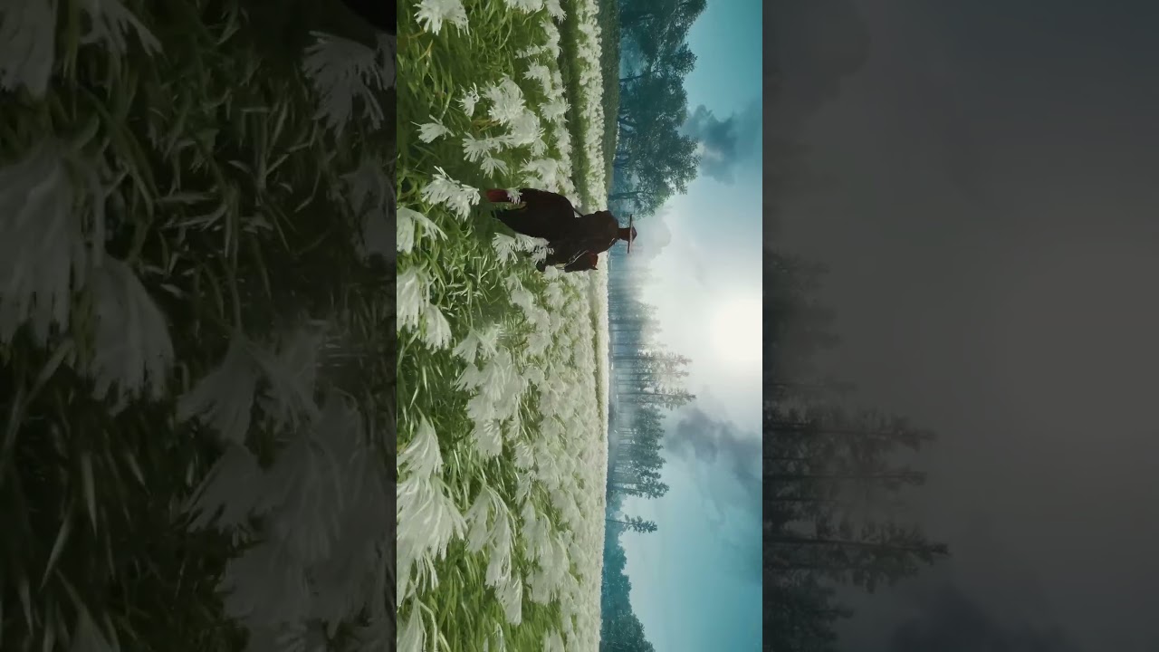 Ghost of Tsushima in Max Graphics 🏯🎌 #akogaming #ghostoftsushima #shorts