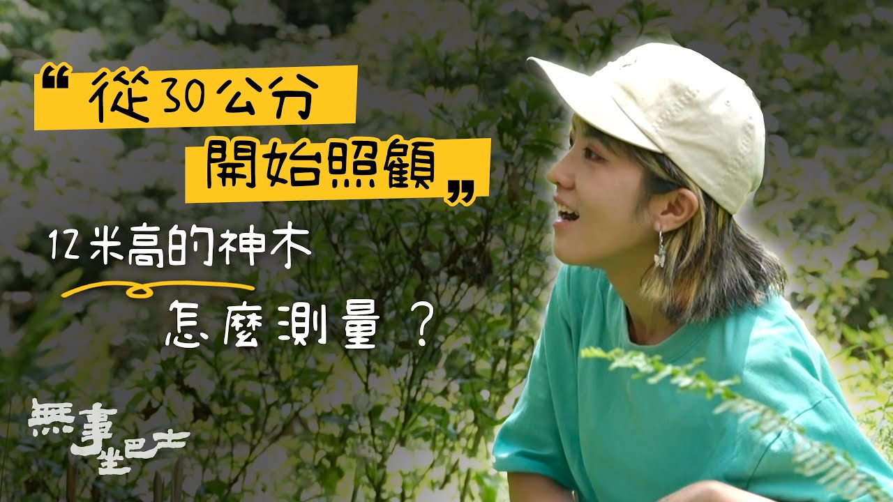 「前人種樹 後人乘涼」的真實寫照！從幼苗30公分開始照顧 讓數十年後的我們取用 在人類需求與大自然間取得平衡｜無事坐巴士｜台南妹仔｜新竹｜輕旅行｜公視台語台｜DAY DAY 台語台 @ptsbus