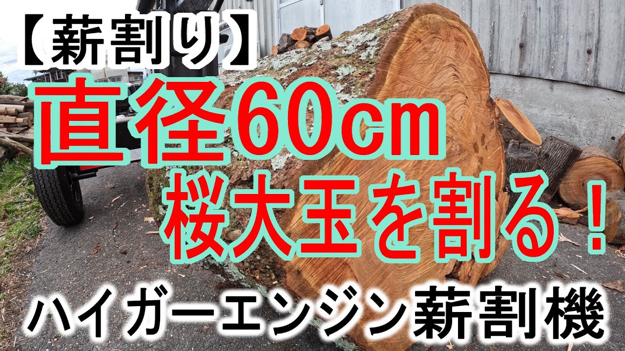 【薪割り】直径60cm桜大玉を割る！