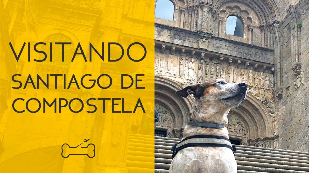 VISITANDO SANTIAGO DE COMPOSTELA CON PERRO | Camino de Santiago con perro