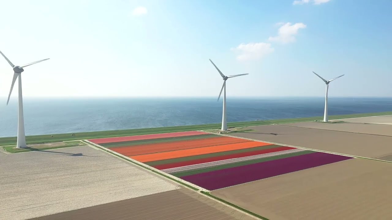 Tulpenfestival 2022