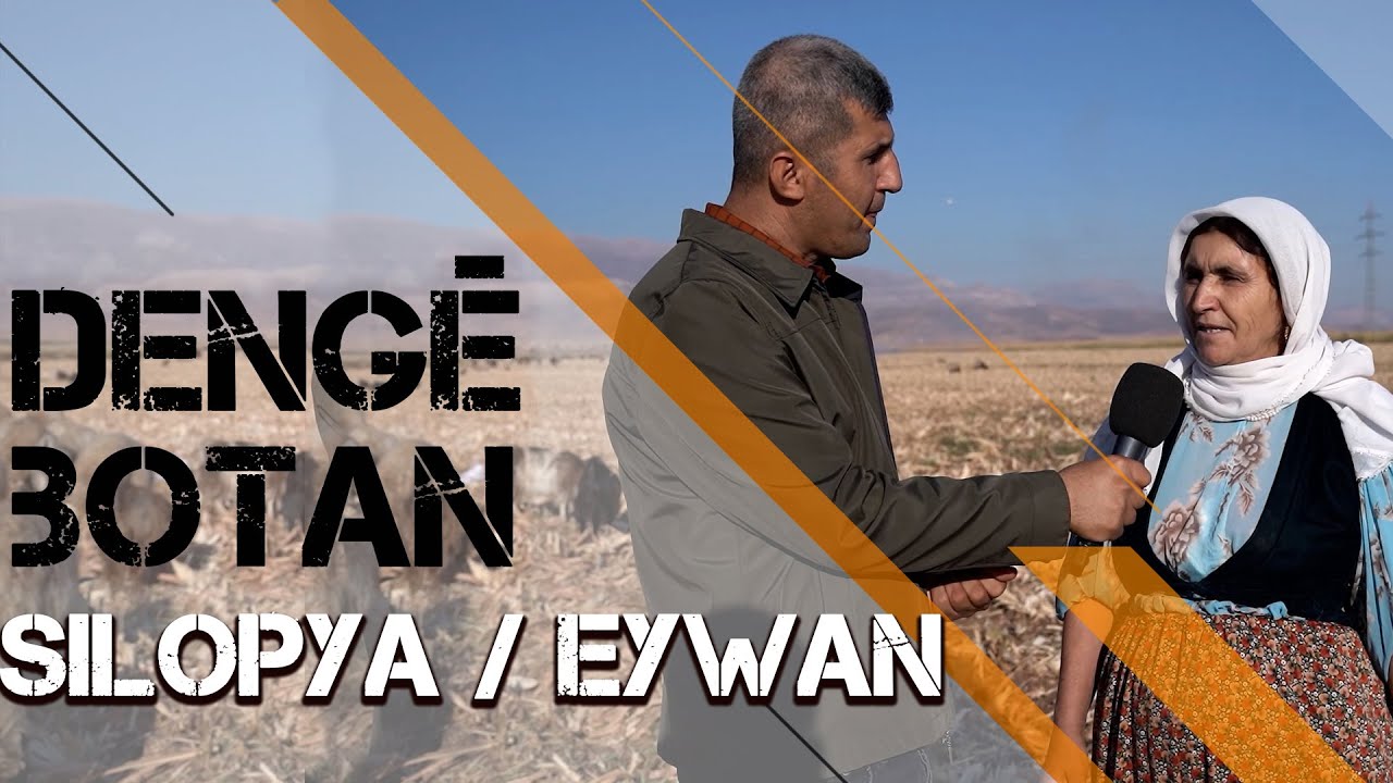 DENGÊ BOTAN - EYWAN / SILOPYA