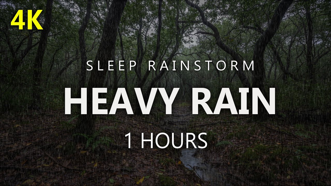 Rain in the Forest Helps You Sleep Soundly | Fall Asleep in 3 Minutes