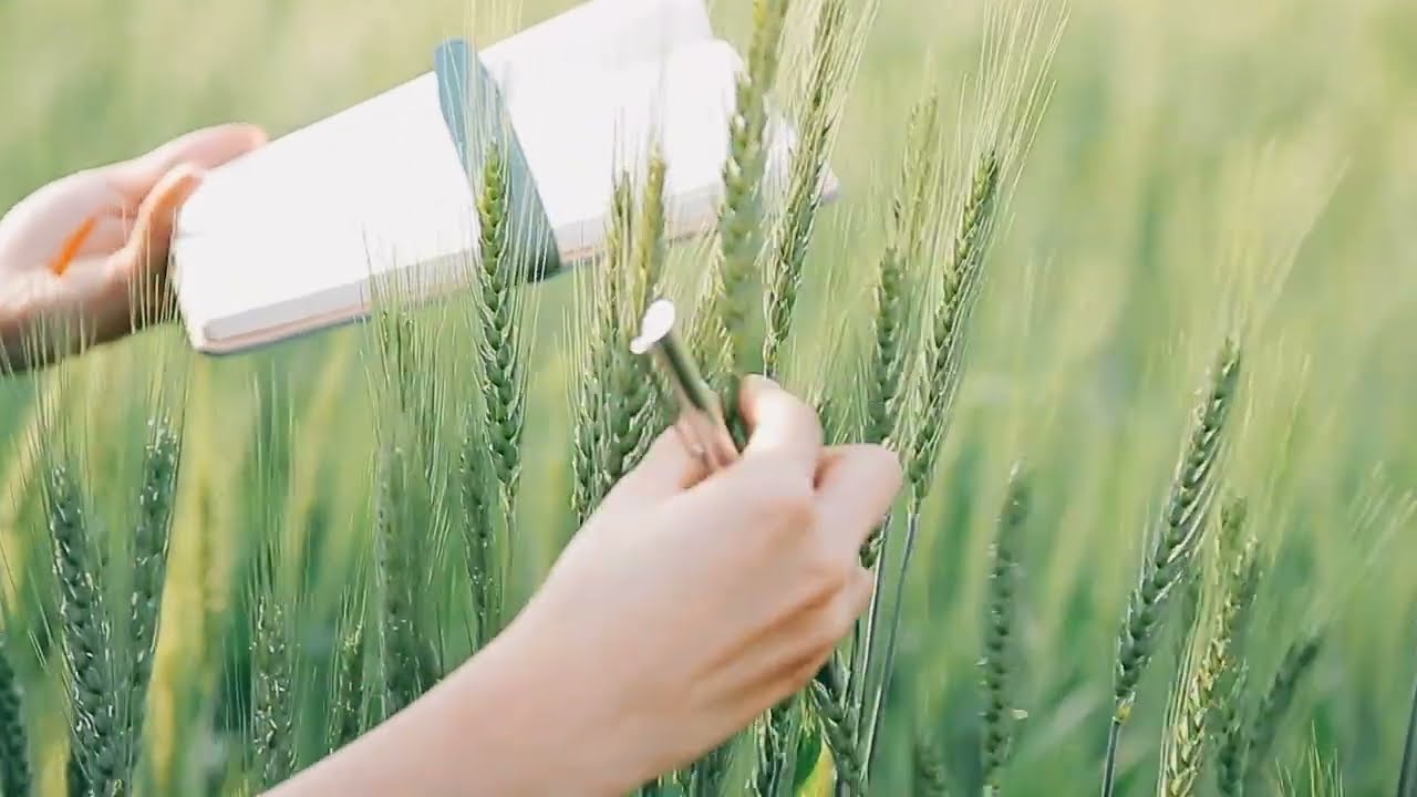 Introduction to Agricultural Science (11 Minutes)