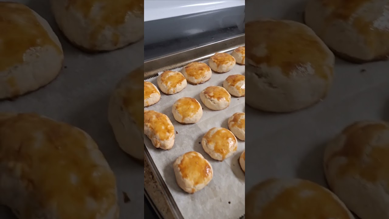 Pork Hopia / Hopiang Baboy 