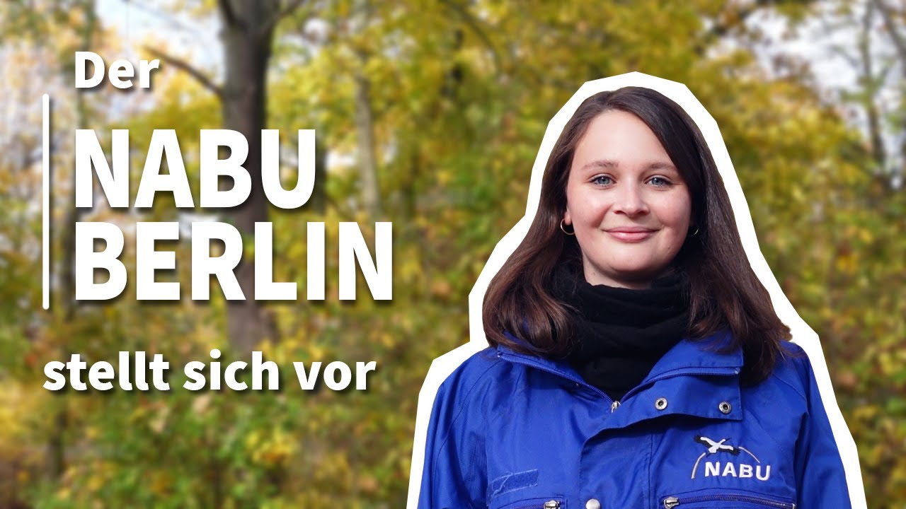 Der NABU Berlin stellt sich vor