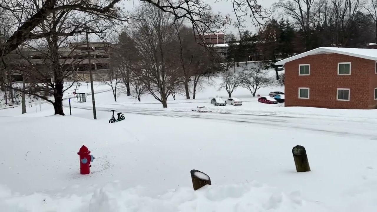 Snowstorm Aftermath in Charlottesville | Copeley JPA (UVA Area)