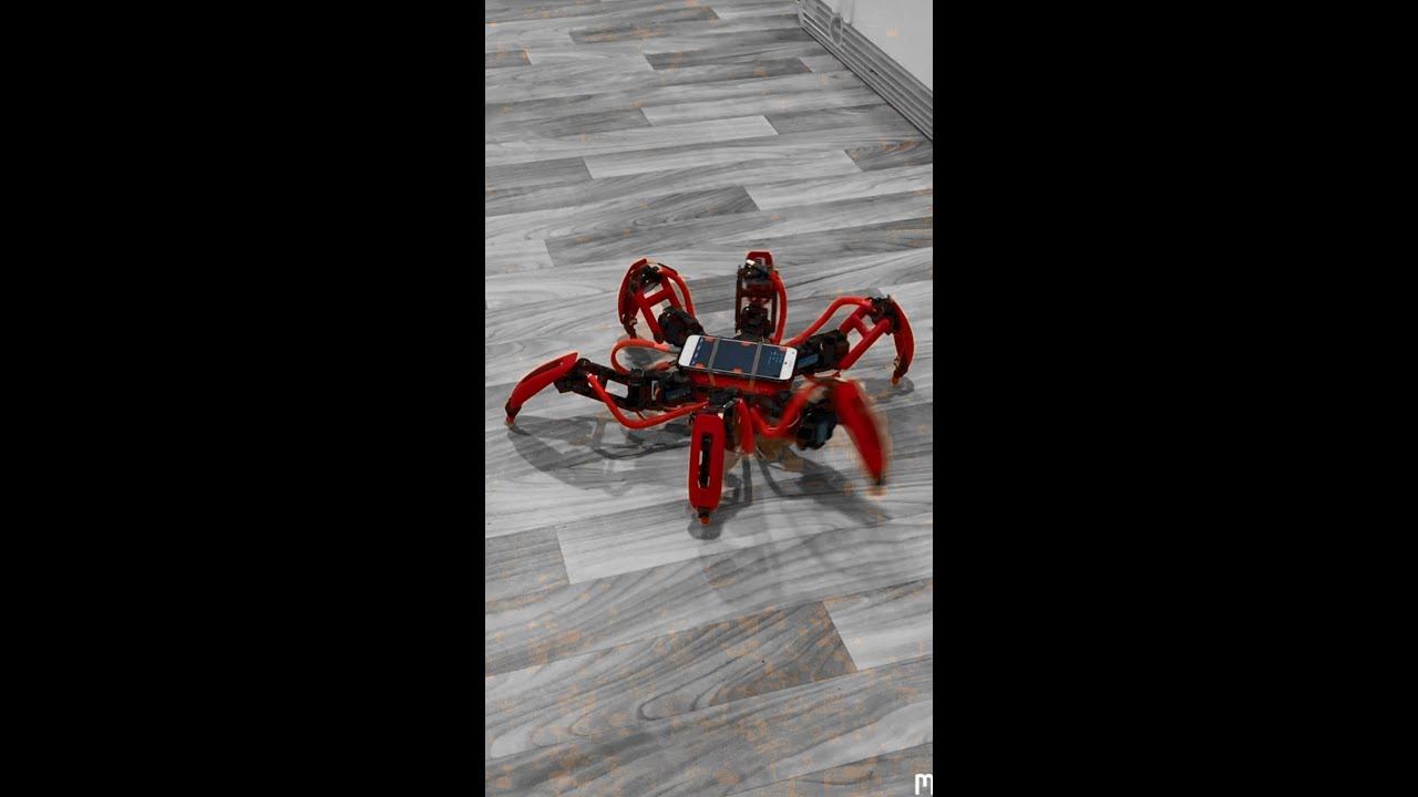 DIY Hexapod Robot! #Shorts