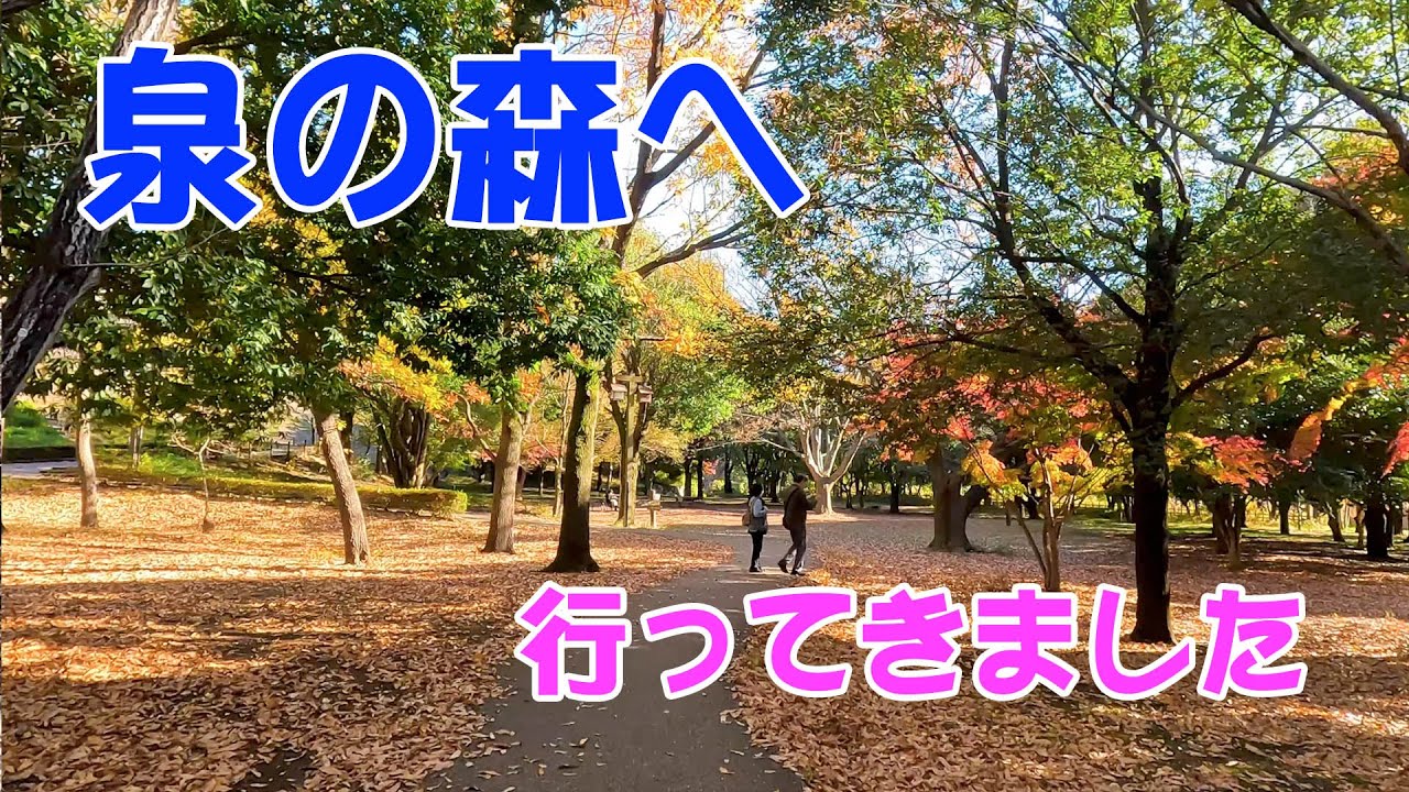 泉の森に行ってきました1204 #泉の森 #4k