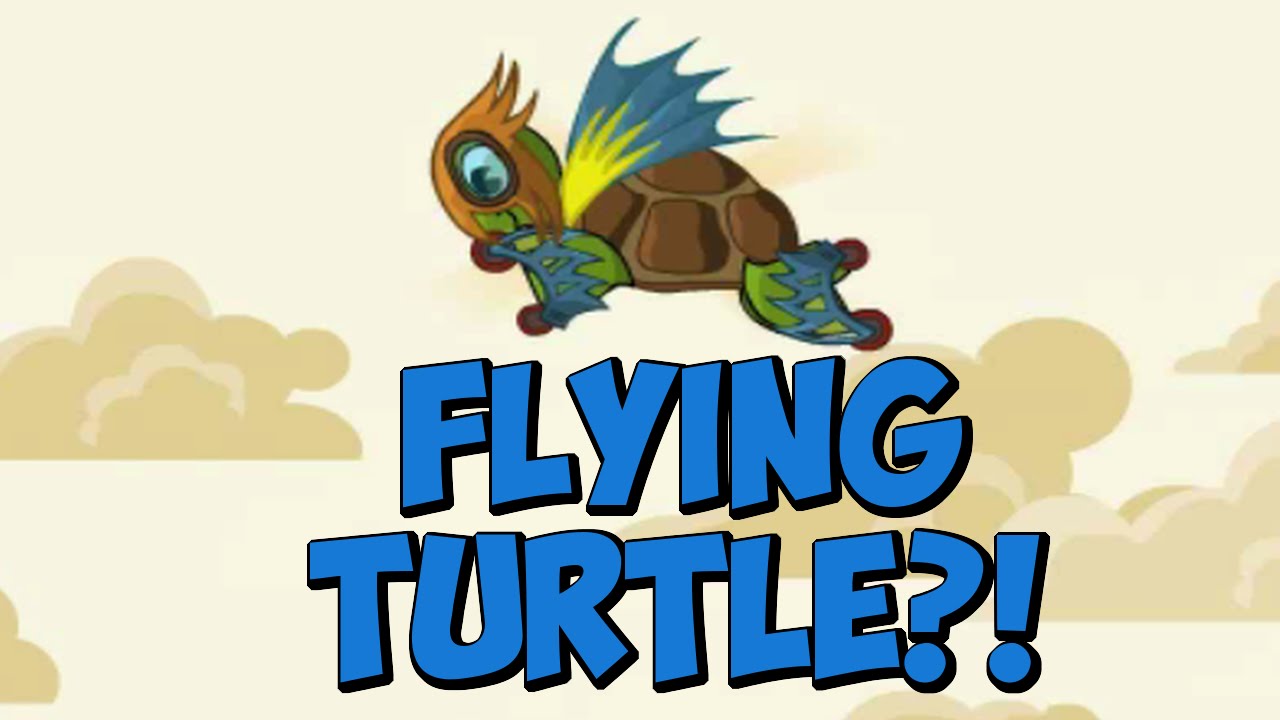 FLYING TURTLE?!