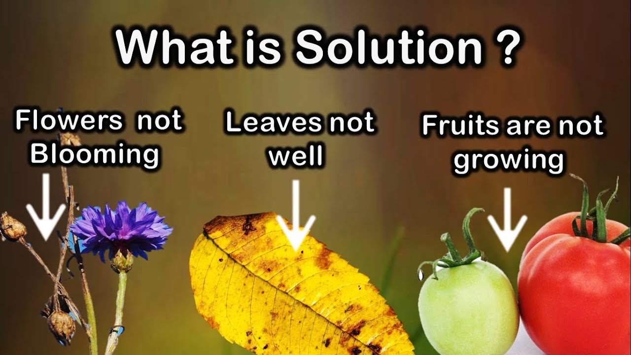 Shocking gardening problems and secrets, Gardening common problem of world