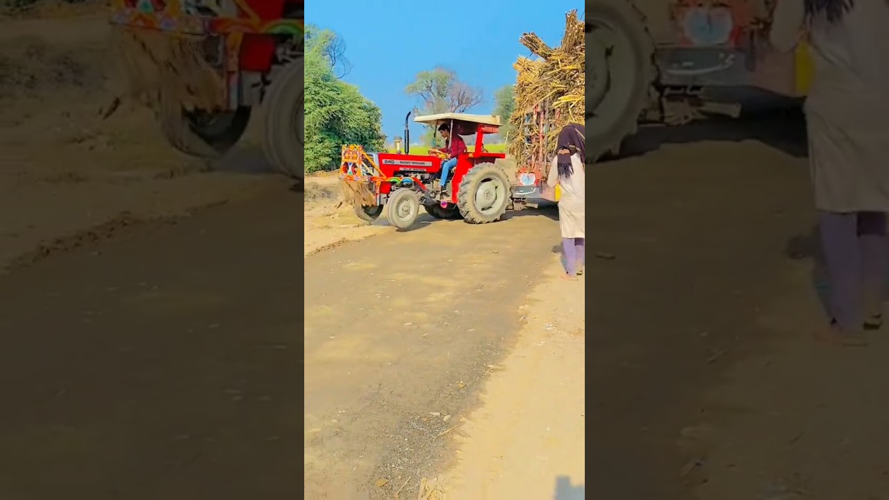 #mf240 #mf240tractor mf 240 tractor trolley par Performance 2024 model ki 🔥🔥